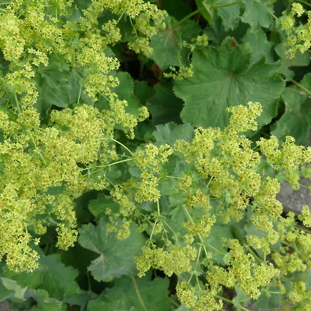 Appartement Landleben - Loft