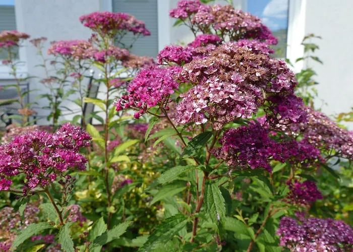 Landleben - Loft 公寓 *